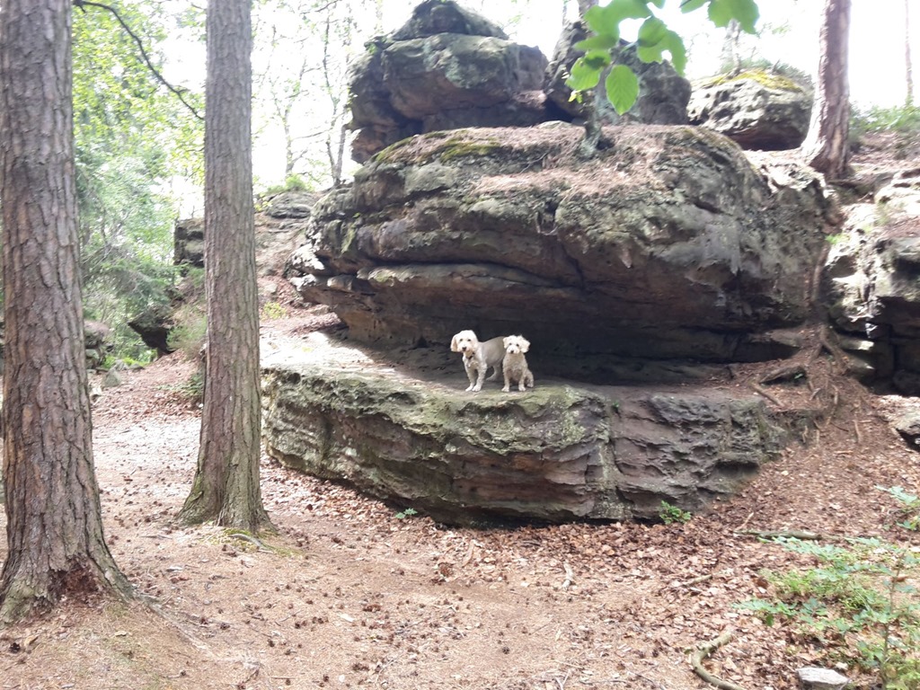 Kora und Emil im Schlangenmaul